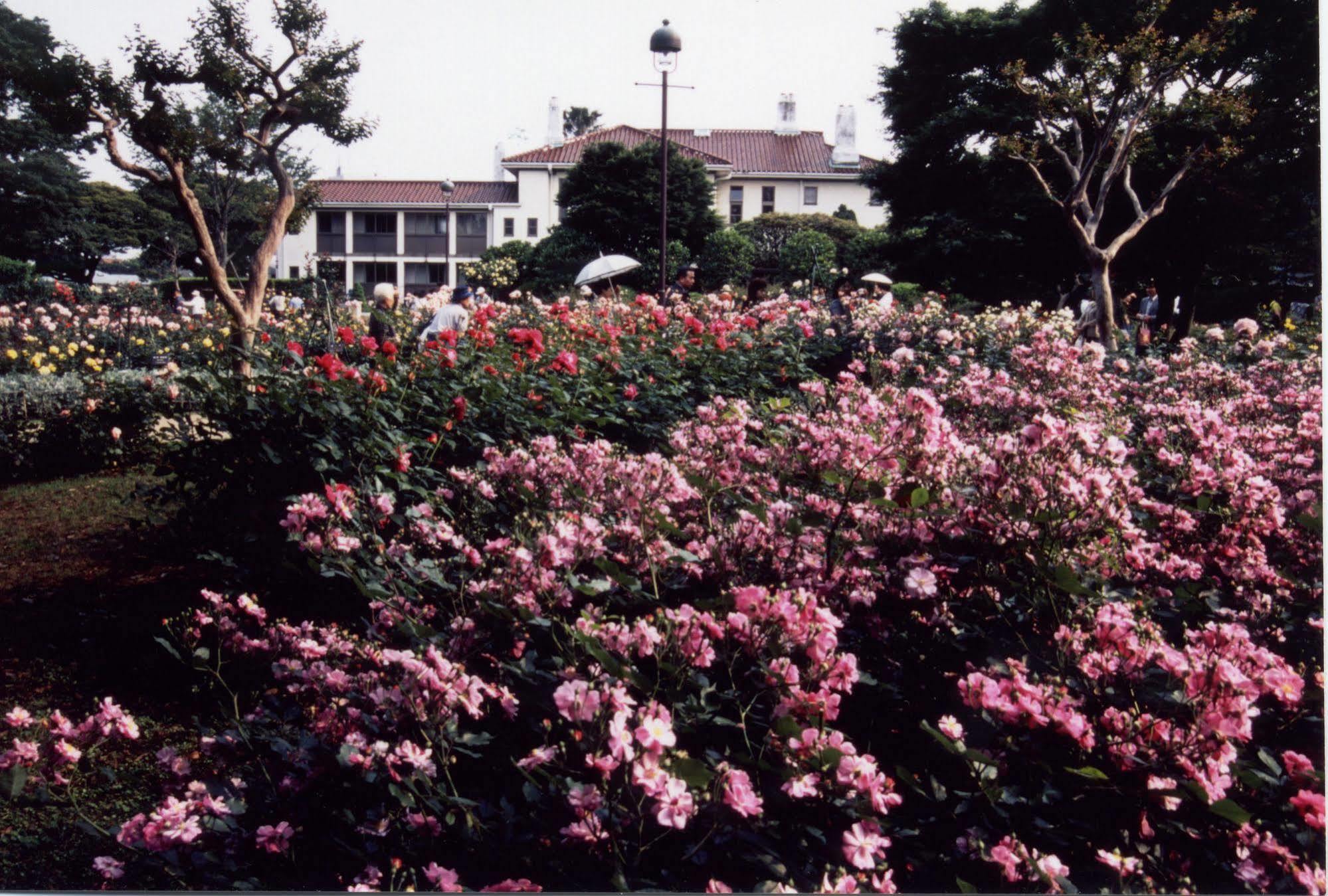 Sotetsu Fresa Inn Yokohama Totsuka Bagian luar foto